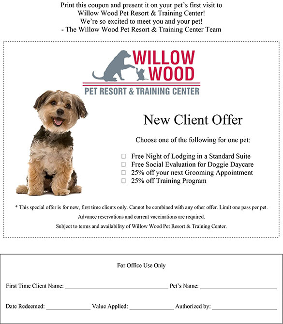 New Client Offer